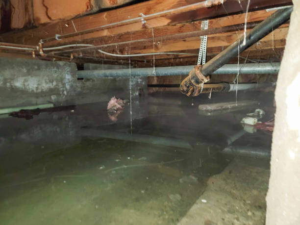 Best 24/7 water damage repair  in Atwood, TN